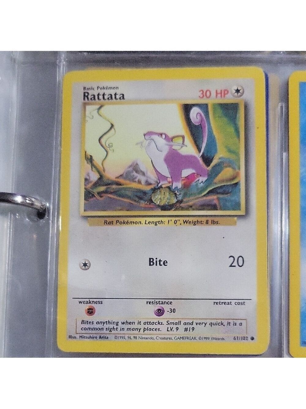 Pokemon Rattata Card